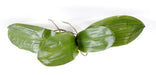 Kunstig Bladorkidé Phalaenopsis 24Cm Grøn