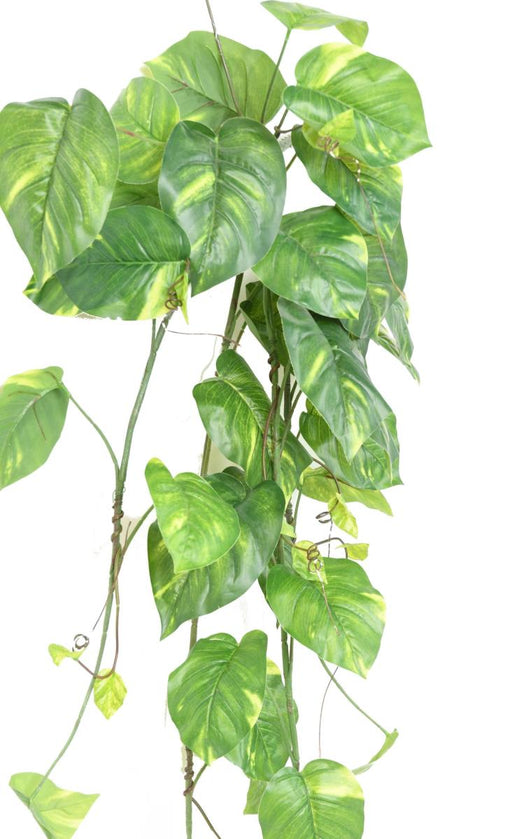 Kunstigt Løv Philodendron H.130Cm Broget