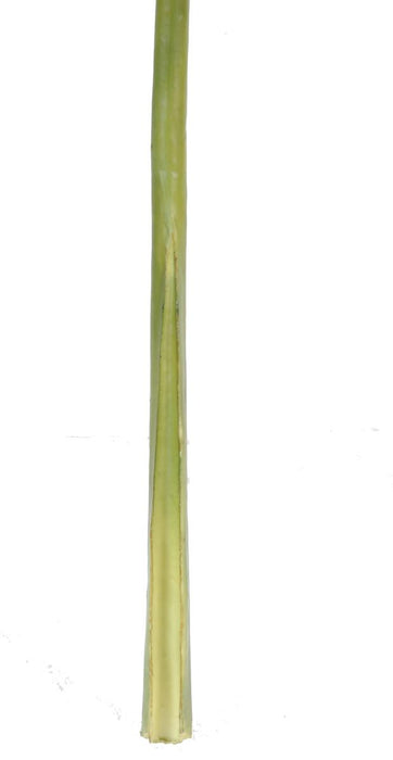 Kunstigt Alocasia Blad H.160Cm Til Dekoration