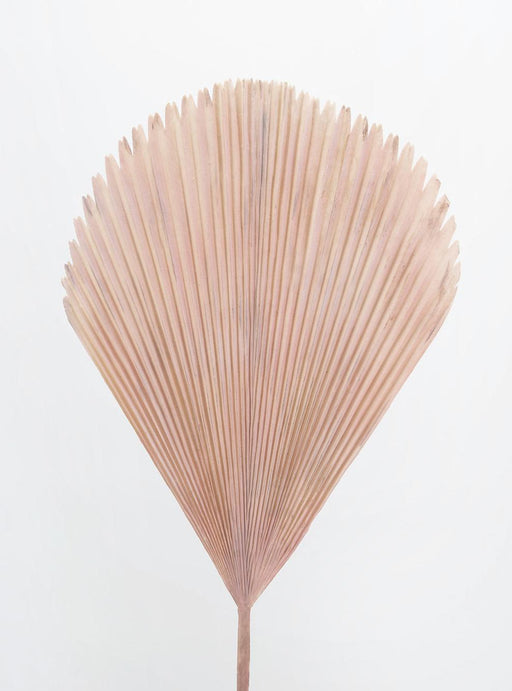 Kunstig Blad Palmetræ Beige Pink 60Cm Dekoration