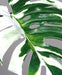Kunstigt Monstera Blad 110 Cm Broget