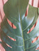 Kunstig Monstera Blad H.106Cm Til Dekoration
