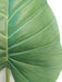 Kunstig Philo Leaf 63Cm Indvendig Dekoration