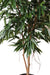 Kunstig Ficus Alii 190 Cm Til Indretning