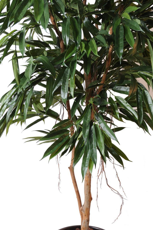 Kunstig Ficus Alii 190 Cm Til Indretning
