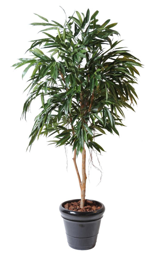 Kunstig Ficus Alii 190 Cm Til Indretning