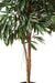 Kunstig Ficus Alii Til Indretning 250Cm