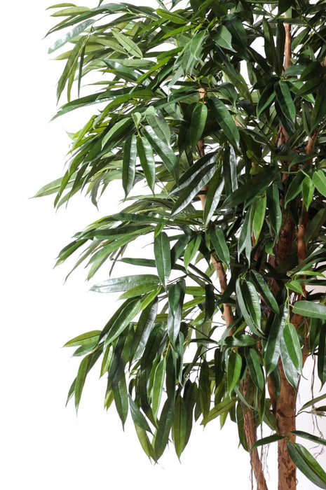 Kunstig Ficus Alii Til Indretning 250Cm