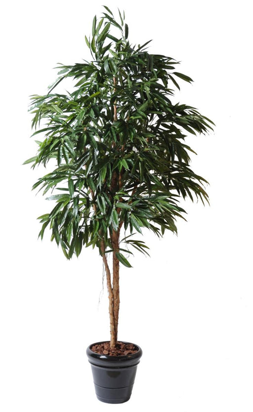 Kunstig Ficus Alii Til Indretning 250Cm