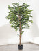 Ficus - Kunstigt Træ