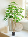Ficus - Kunstigt Træ