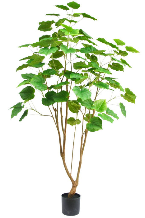 Ficus - Kunstigt Træ
