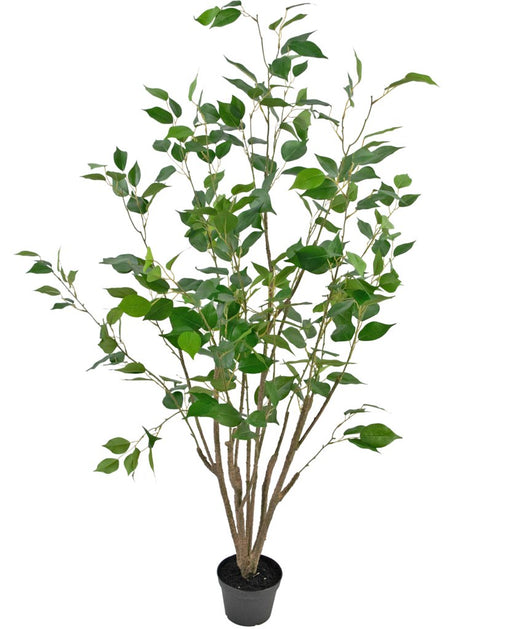 Ficus - Kunstigt Træ