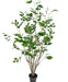 Ficus - Kunstigt Træ