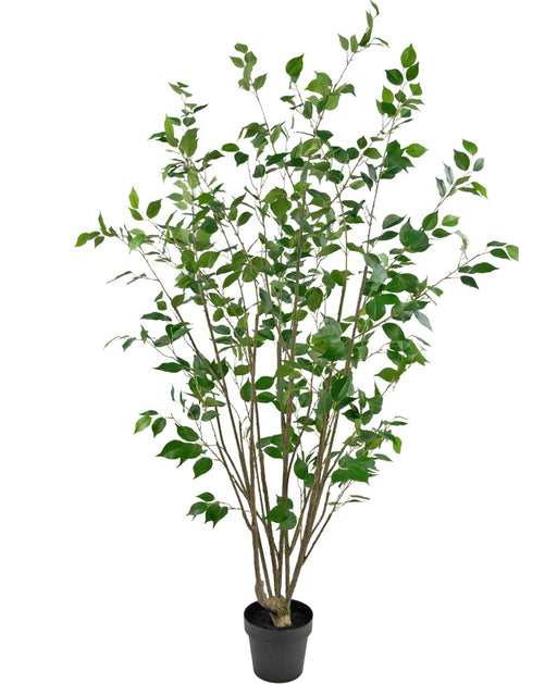 Ficus - Kunstigt Træ