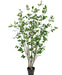 Ficus - Kunstigt Træ