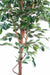 Kunstig Ficus 120 Cm Indendørs Dekorativ Plante