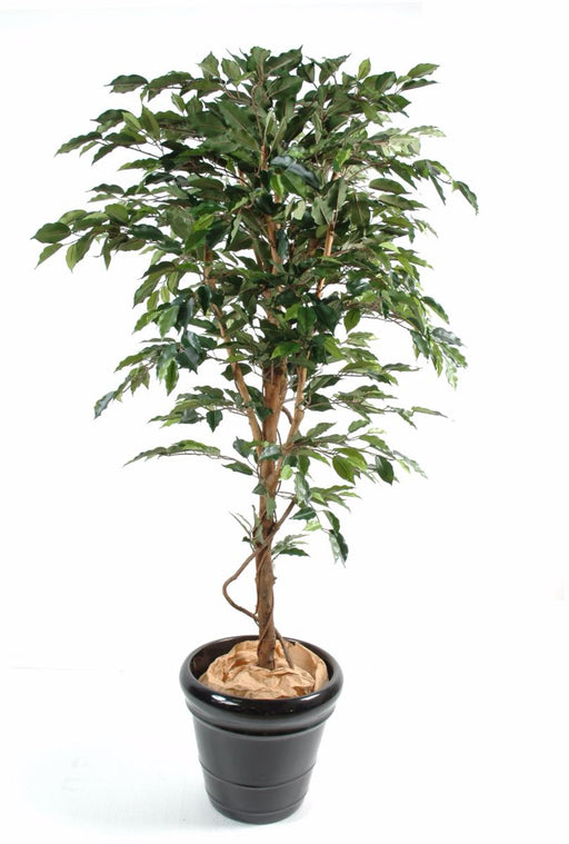 Kunstig Ficus 120 Cm Indendørs Dekorativ Plante