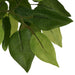 Kunstig Ficus 1260 Blade 200 Cm Grøn