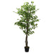 Kunstig Ficus 1260 Blade 200 Cm Grøn