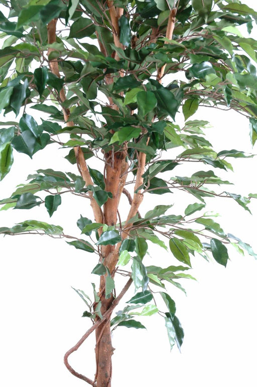 Kunstig Ficus 150 Cm Indendørs Dekorativ Plante