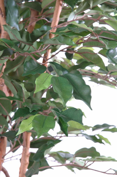Kunstig Ficus 150 Cm Indendørs Dekorativ Plante