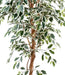Kunstig Ficus 180 Cm Enkeltstamme Broget