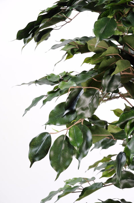 Kunstig Ficus 180Cm Indendørs Plante Grøn