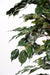 Kunstig Ficus 180Cm Indendørs Plante Grøn