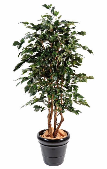 Kunstig Ficus 180Cm Indendørs Plante Grøn