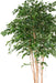 Kunstig Ficus 260 Cm Grøn Indendørs Plante