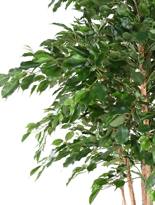 Kunstig Ficus 260 Cm Grøn Indendørs Plante
