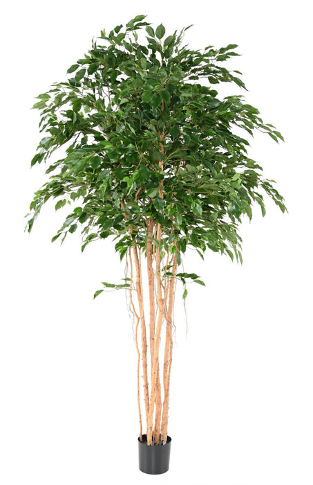Kunstig Ficus 260 Cm Grøn Indendørs Plante