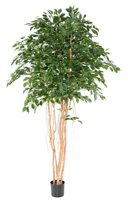 Kunstig Ficus 260 Cm Grøn Indendørs Plante