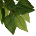 Kunstig Ficus 378 Blade 80 Cm Grøn