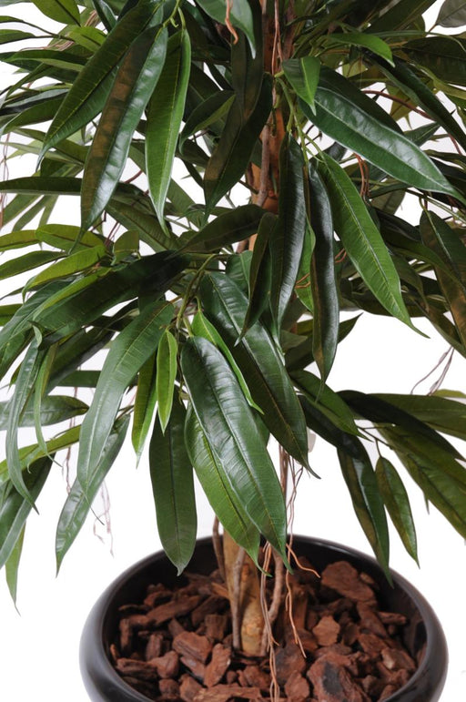 Kunstig Ficus Alii 190 Cm Grøn Indendørs Plante