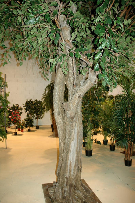 Kæmpe Kunstig Ficus Til Indendørs 500 Cm