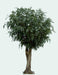 Kæmpe Kunstig Ficus Til Indendørs 500 Cm