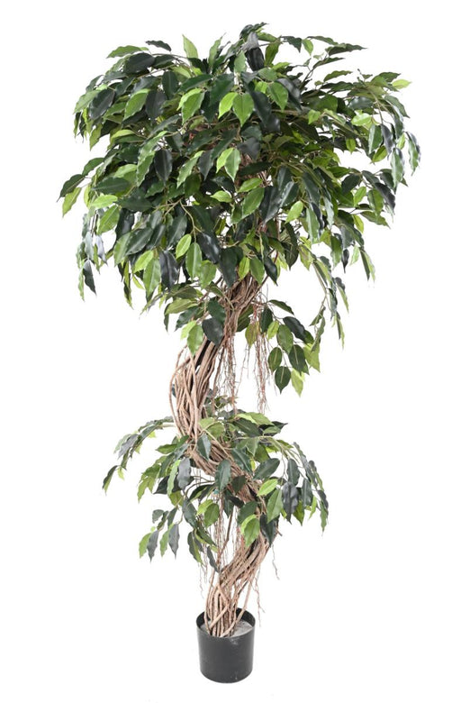 Kunstig Ficus Lianas 180 Cm Indendørs Plante