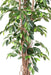 Kunstig Ficus Lianas 180 Cm Grøn Indendørs Plante