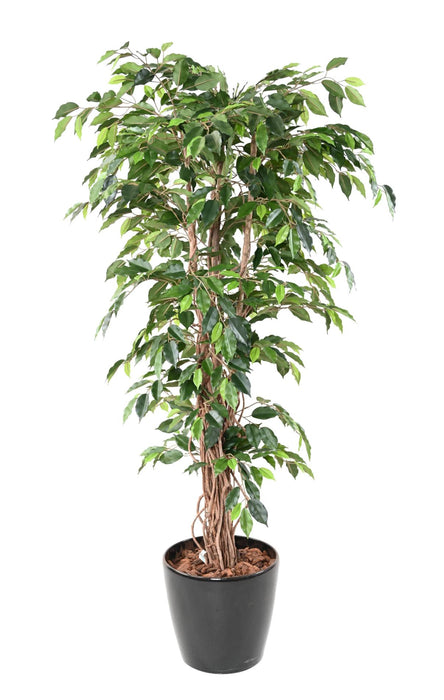 Kunstig Ficus Lianas 180 Cm Grøn Indendørs Plante