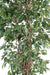Kunstig Ficus Lianas 180 Cm Grøn Indendørs Plante
