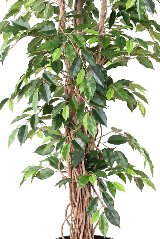 Kunstig Ficus Lianas 210 Cm Grøn Indendørs Plante