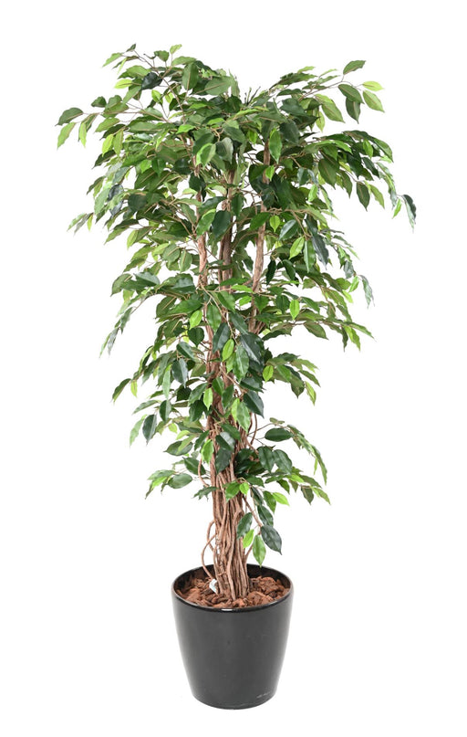 Kunstig Ficus Lianas 210 Cm Grøn Indendørs Plante