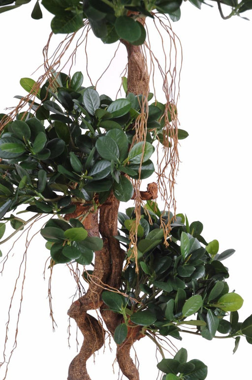 Kunstig Ficus Microcarpa 170 Cm Indendørs Plante