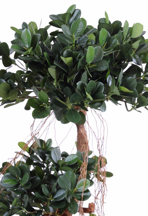 Kunstig Ficus Microcarpa 170 Cm Indendørs Plante