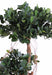 Kunstig Ficus Microcarpa 170 Cm Indendørs Plante