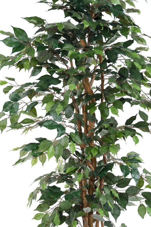Kunstig Ficus Multi-Stængler 190 Cm Grøn Plante