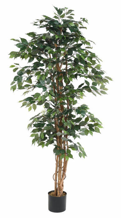 Kunstig Ficus Multi-Stængler 190 Cm Grøn Plante