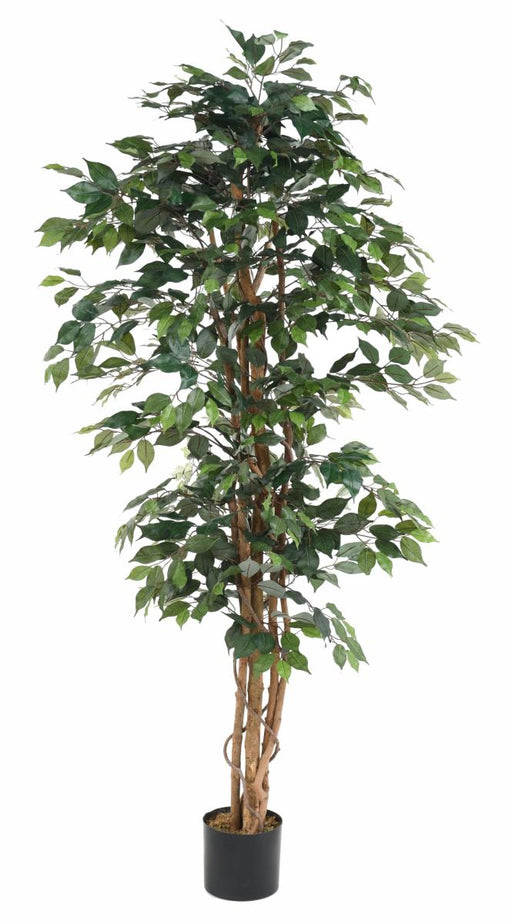 Kunstig Ficus Multi-Stængler 190 Cm Grøn Plante